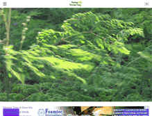 Tablet Screenshot of healingmoringatree.com